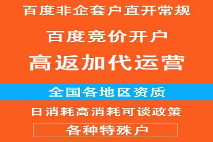 成功运用SEM技术提升网站流量的案例研究